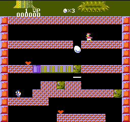 Duck Maze screenshot 3 for NES